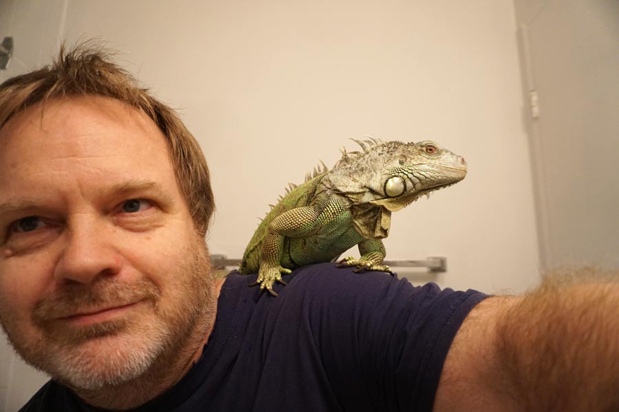 The author, Stephen, with Lily, one of his two green iguanas.